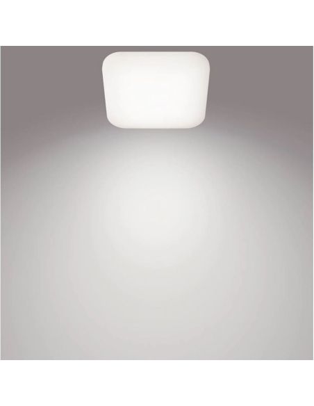 Plafón cuadrado LED de techo MAUVE Ø26cm 12W 4000K IP20 | LeonLeds