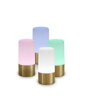 Lámpara de mesa/suelo MAIA 19 BRASS 3000-6000K + RGB