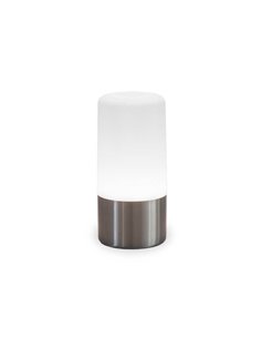Lámpara de mesa/suelo MAIA 19 gris espacial 3000-6000K + RGB