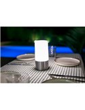 Lámpara de mesa/suelo MAIA 19 gris espacial 3000-6000K + RGB