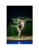 Tira LED / Cable de Luz para exterior NEO 3 Metros +2m de cable