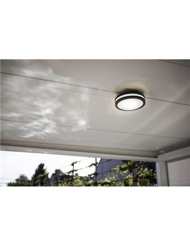 Plafón/Aplique de exterior TITAN antracita E27