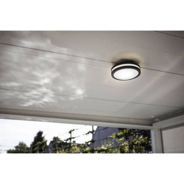 Plafón/Aplique de exterior TITAN antracita E27