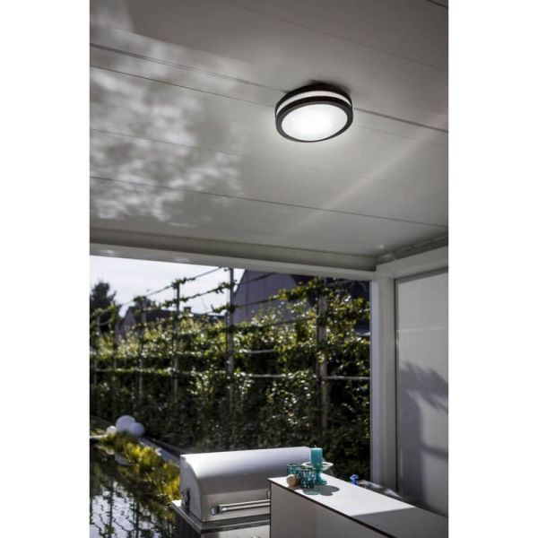 Plafón/Aplique de exterior TITAN antracita E27