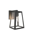 Aplique de pared clásico FIA cristal transparente y bordes negro mate, E27, exterior
