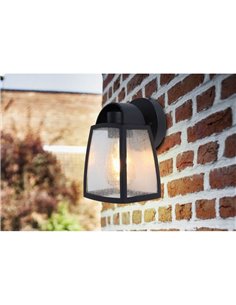 Applique d'extérieur KELSEY avec verre transparent ou massif E27 2