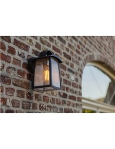 Applique d'extérieur KELSEY avec poignée et verre transparent ou massif E27 2