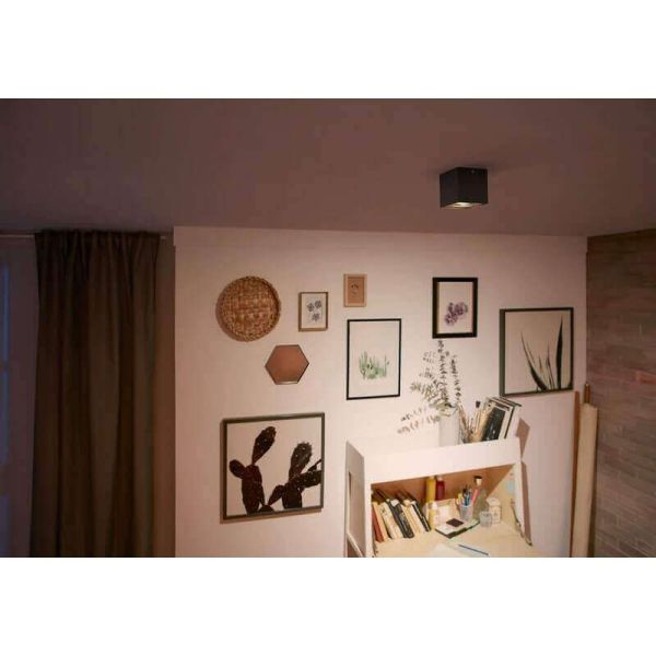 Foco superficie cuadrado BOX LED orientable IP20 Warmglow| LeonLeds