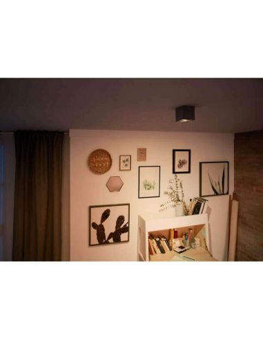 Spot LED en surface Square BOX orientable IP20 Warmglow | LéonLeds