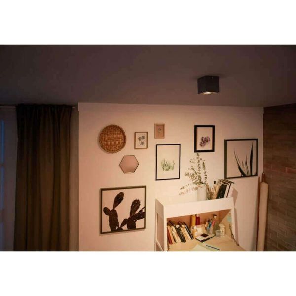 Spot LED de superfície quadrado BOX ajustável IP20 Warmglow | LeonLeds