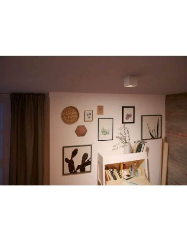 Foco superficie BOX 1 luz LED orientable blanco Warmglow | LeonLeds