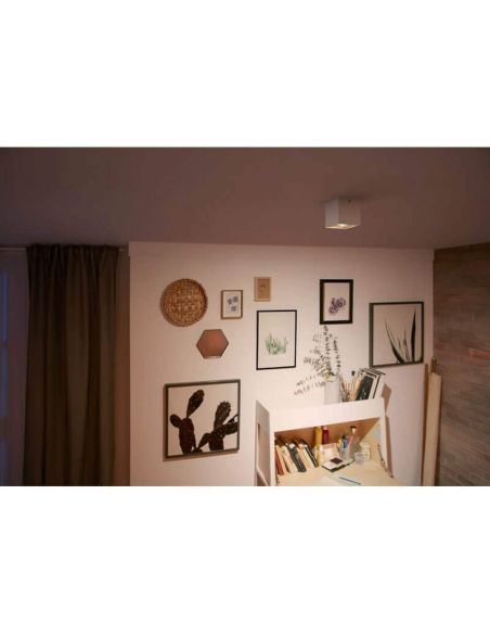 Foco superficie BOX 1 luz LED orientable blanco Warmglow | LeonLeds