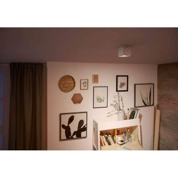 Foco superficie BOX 1 luz LED orientable blanco Warmglow | LeonLeds