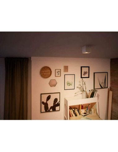 Foco superficie BOX 1 luz LED orientable blanco Warmglow | LeonLeds