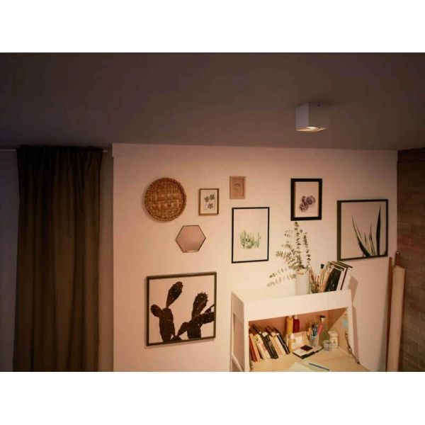 Foco superficie BOX 1 luz LED orientable blanco Warmglow | LeonLeds