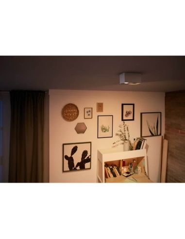Foco superficie 2 luces LED cuadrado BOX blanco Warmglow | LeonLeds