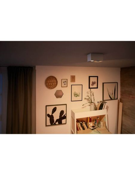 Foco superficie 2 luces LED cuadrado BOX blanco Warmglow | LeonLeds