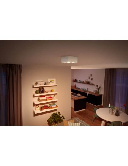 Foco superficie BOX LED 4 luces blanco IP20 Warmglow | LeonLeds