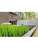 Aplique de pared exterior NIGHTINGALE IP44 MyGarden | LeonLeds