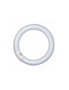 Tubo Led Circular T9 - 20W 30cm