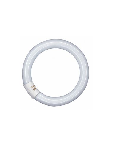 Tubo Led Circular T9 - 20W 30cm