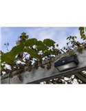 Aplique para exterior LED con sensor y panel solar ARROW antracita 5000K