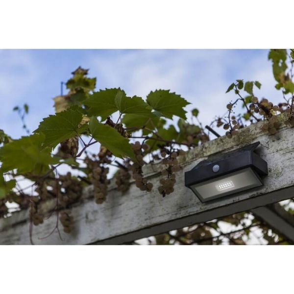 Aplique para exterior LED con sensor y panel solar ARROW antracita 5000K