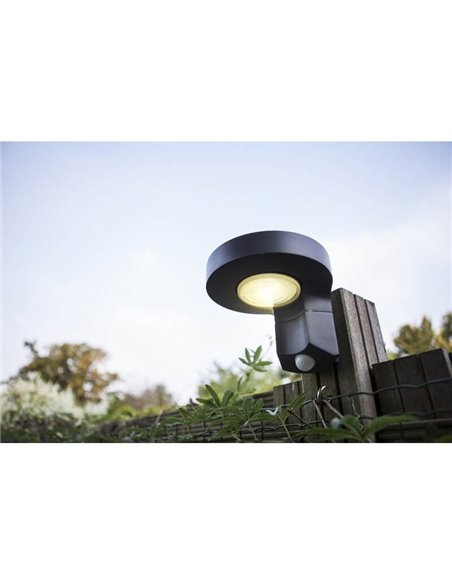 Aplique solar LED redondo DISO con cabezal móvil y sensor de movimiento, antracita 4000K