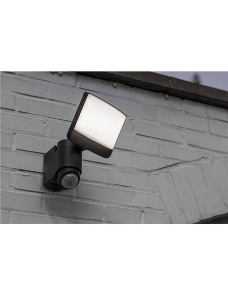 Aplique exterior SUNSHINE L con panel solar independiente (cable 5m) 18X20X245cm 5000K