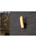 Aplique rectangular KITE de exterior con diseño alargado en antracita 3000K 8,8W
