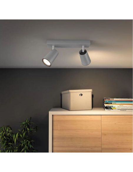 Regleta 2 luces Orientables PAISLEY Color Aluminio IP20 Techo o Pared | LeonLeds