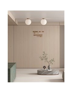 Plafón de techo PARMA Ø 30cm Oro Viejo o Negro Mate/Opal, LED E27 15W, IP44 2