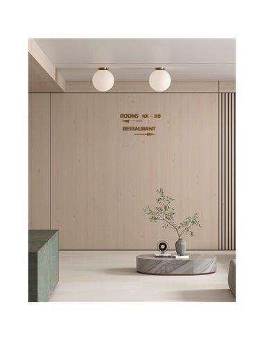 Plafón de techo PARMA Ø 30cm Oro Viejo o Negro Mate/Opal, LED E27 15W, IP44