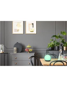 Lámpara LED portátil CARDI muy versátil (sobremesa y para colgar) 2700-6500K + RGB para exterior 2