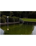 Columna LED de jardon FELE con cabezal giratorio de 320º 3000K antracita IP54