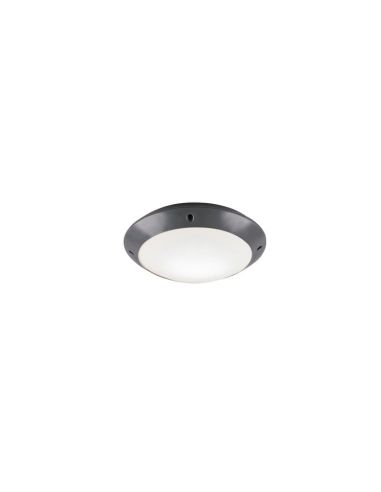 Plafón Exterior CAMARO Color Negro Ø26cm Techo o Pared | LeonLeds