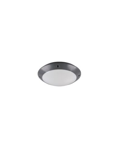 Plafón Exterior CAMARO Color Negro Ø26cm Techo o Pared | LeonLeds