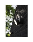 Aplique de pared exterior LED TRUMPET con foco móvil 4000K 9,5W 1100Lm IP54 antracita