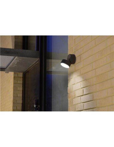 Aplique de pared exterior LED TRUMPET con foco móvil 4000K 9,5W 1100Lm IP54 antracita