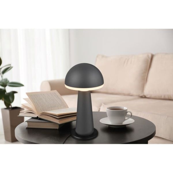Lámpara Sobremesa Estilo Seta LED FUNGO Batería USB-C Intensidad Regulable | LeonLeds
