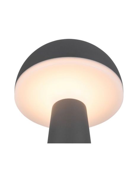 Lámpara Seta Sobremesa LED 2W FUNGO Recargable USB-C Intensidad Regulable| LeonLeds