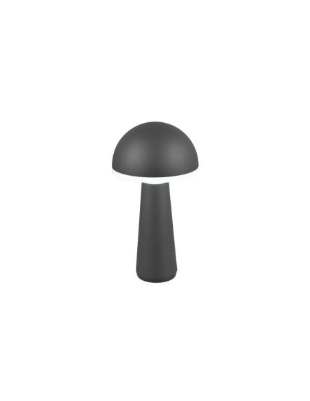 Lampe de table LED champignon 2W FUNGO rechargeable USB-C intensité réglable | LéonLeds
