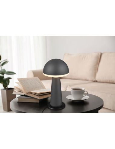 Lámpara Mesa Seta Diseño FUNGO Recargable USB-C Intensidad Regulable| LeonLeds