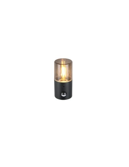 Aplique de pared Sensor de Movimiento HOOSIC  | LeonLeds