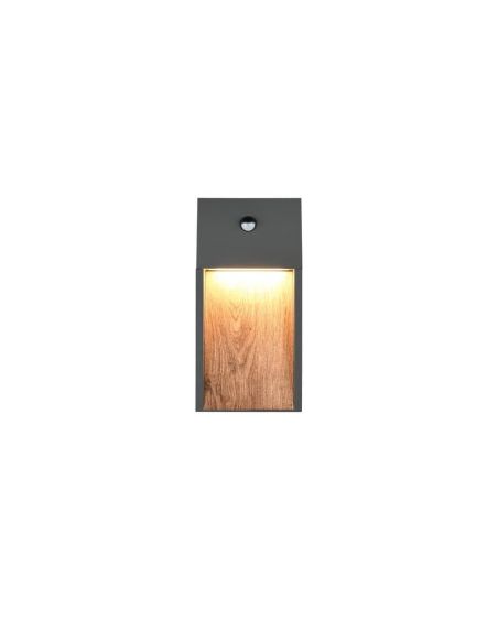 Aplique LED Exterior SALMON Con Sensor de Movimiento 11W 3000K IP44 | LeonLeds