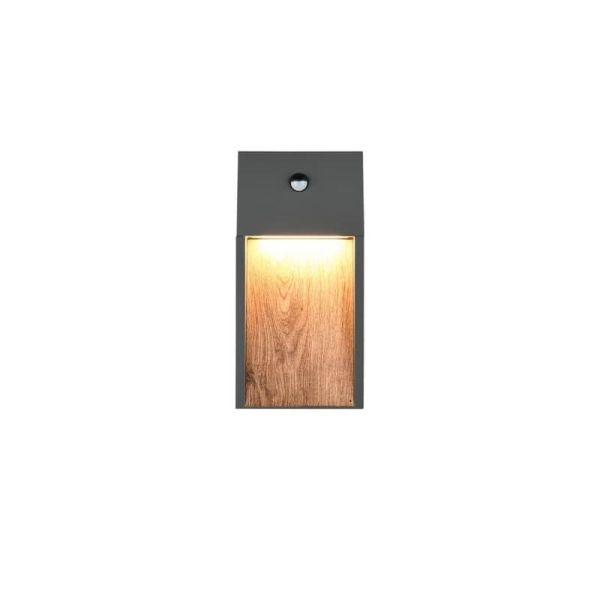 Aplique LED Exterior SALMON Con Sensor de Movimiento 11W 3000K IP44 | LeonLeds