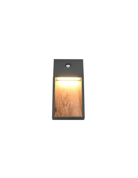 Aplique LED Exterior SALMON Con Sensor de Movimiento 11W 3000K IP44 | LeonLeds