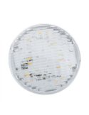 Lâmpada LED submersível para piscina PAR56 25W muito potente 3000K/5000K IP68 | LeonLeds