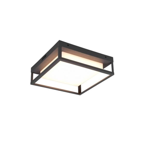 Plafón de techo LED Cuadrado WITHAM IP54 | LeonLeds