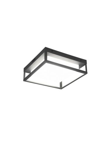 Plafón de techo LED Cuadrado WITHAM IP54 | LeonLeds